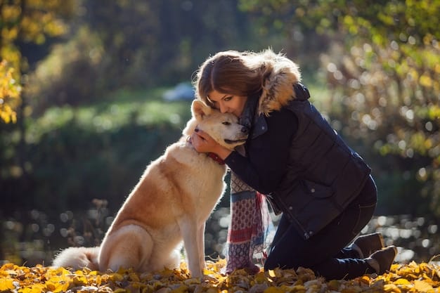 Maximize Your Impact: 2025 Tax Deductions for Animal Rescue Donations
