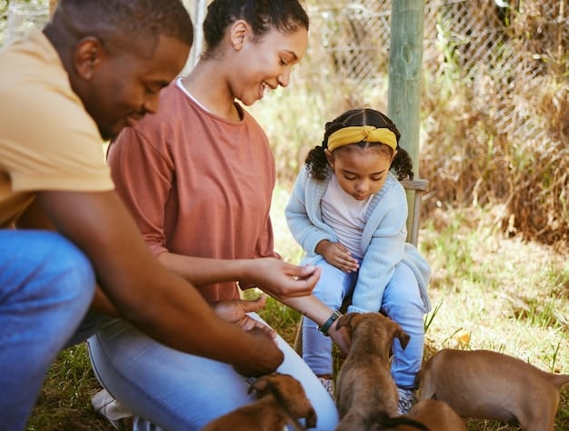 Winter Pet Abandonment: Are Local Animal Rescues Ready for the Surge?