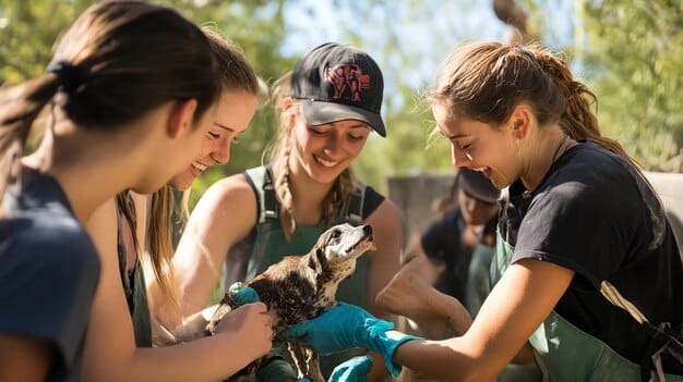 A group of volunteers participating in a fundraising event for a local animal rescue, such as a charity walk or an adoption day. The volunteers are enthusiastically engaging with the community, holding signs, and interacting with potential adopters.