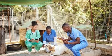 Decoding USDA Guidelines for Animal Shelter Sanitation: A Rescue Guide - Cover Image