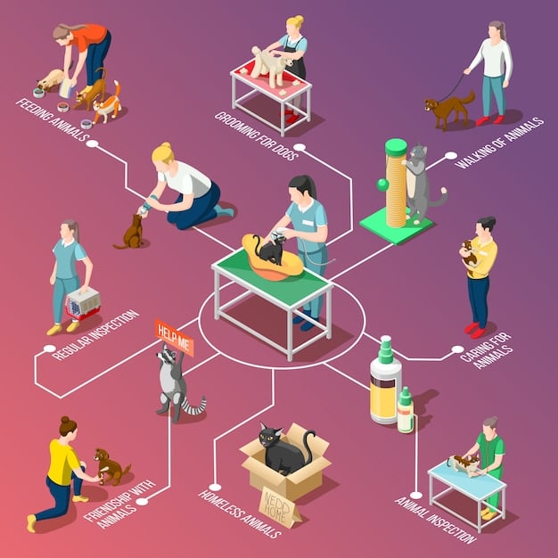 A detailed flowchart illustrating the current adoption process at a local animal rescue. It highlights areas where paperwork is excessive and creates delays.
