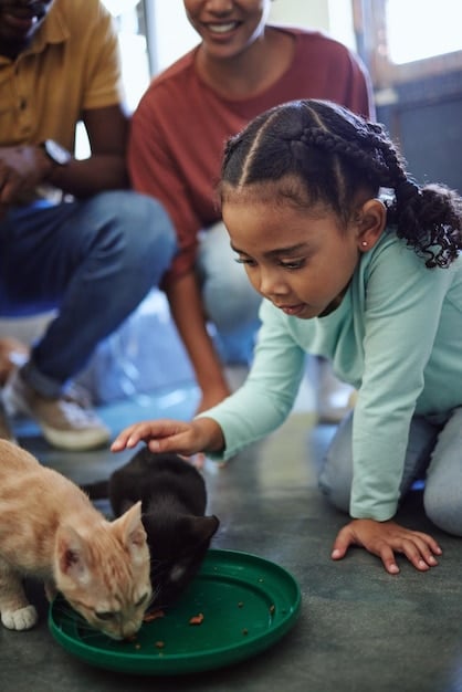 Volunteer Management Secrets: Boost Animal Rescue Retention by 20%