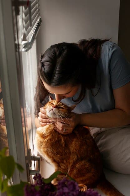 A volunteer gently petting a cat in a quiet room, showcasing the emotional connection and bonding that can occur in animal rescue work.