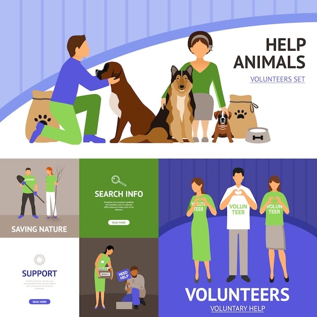 A graphic showcasing the impact of donations to a local animal rescue. The graphic uses icons and statistics to visually represent how funds are allocated to animal care (food, shelter, medical expenses), adoptions, and community outreach programs.