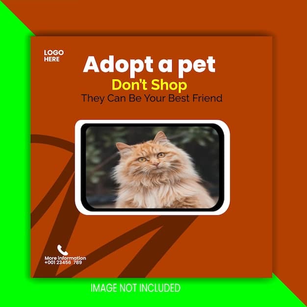 A collage showcasing various social media posts from a local animal rescue, including adoption announcements, success stories, upcoming events, and volunteer opportunities, all formatted for different platforms.