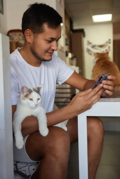 A close-up shot of a volunteer using a smartphone to take a high-quality photo of a playful kitten in a local animal rescue shelter.