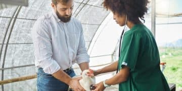 Understanding the New: Innovations in Local Animal Rescues - Cover Image