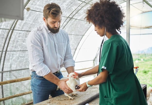 Understanding the New: Innovations in Local Animal Rescues