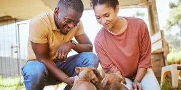 Combating Compassion Fatigue in Animal Rescue: Strategies for Staff & Volunteers - Cover Image