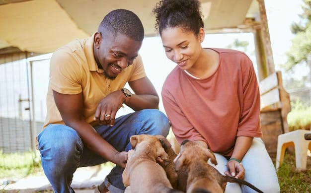 Combating Compassion Fatigue in Animal Rescue: Strategies for Staff & Volunteers