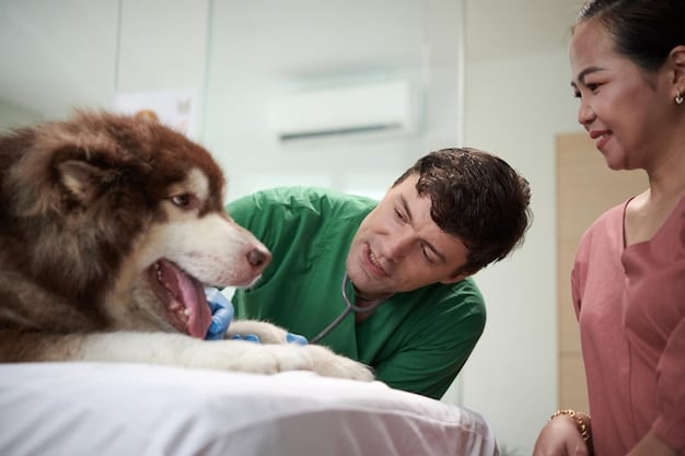 A veterinarian gently examining a rescued dog in a clinic setting. The dog looks scared but is being comforted by the vet. The image portrays the emotional challenges faced by animal rescue staff.