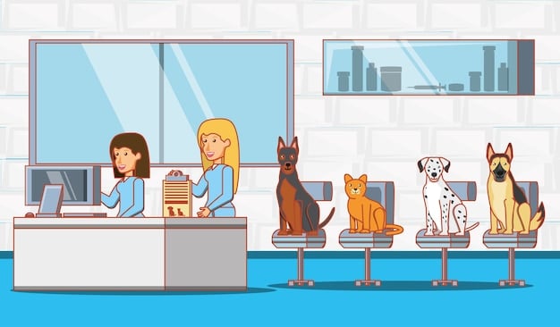 Maximizing Rescue Impact: Partnering with Vets for Discounted Care