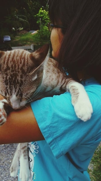 Grant Writing for Animal Rescues: Funding Spay/Neuter Programs