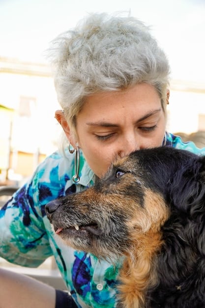 A close-up, eye-level shot of a volunteer gently petting a senior dog in a foster home. The dog appears relaxed and comfortable, lying on a soft blanket. The background is blurred, focusing attention on the bond between the human and the animal. The warmth of the lighting and the soft textures convey a sense of safety and care.