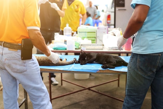 A clean and organized animal shelter environment with rescued animals receiving medical attention and care from veterinarians and shelter staff.