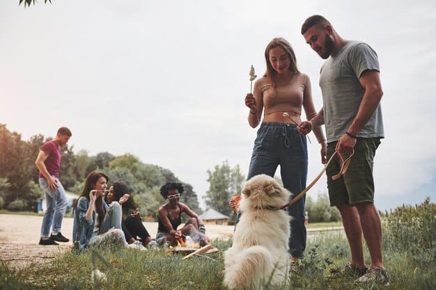 Community Outreach: Educating Public on Responsible Pet Ownership