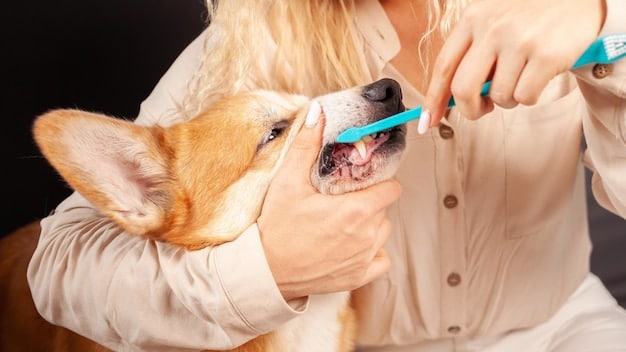 A close-up shot of a veterinarian demonstrating how to properly brush a dog's teeth during a community outreach event. Children and adults are attentively watching the demonstration. Educational pamphlets on pet dental care are visible on a nearby table.