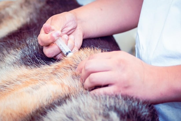 Microchipping: Ensuring Swift Reunions for Lost Pets in the US