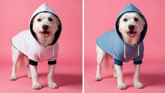 A side-by-side comparison image. On one side, a dog with a faded and unreadable ID tag is depicted. On the other side, an illustration shows a scanner reading a microchip under the skin of a pet. The contrast highlights the reliability of microchipping compared to traditional ID tags.