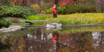 Latest Federal Grants for Wildlife Habitat Restoration in the US - Cover Image