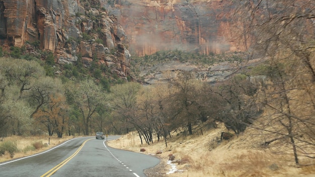 Wildlife Corridors: New Study Shows 15% Reduction in Animal-Vehicle Collisions