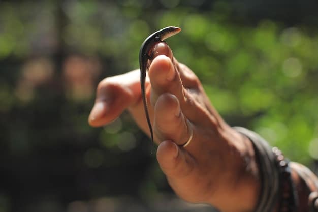 A conservationist holding a small migratory bird in their hands, preparing to attach a tracking band to its leg. Blurred background of a lush forest.