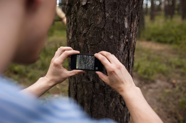 A close-up shot of a volunteer carefully placing a camera trap in a forest. The camera is attached to a tree and aimed at a game trail. Leaves and branches surround the camera, providing natural camouflage. The volunteer is wearing gloves and handling the camera with care.