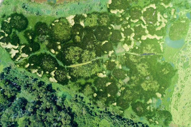 Unlock Long-Term Funding: How Land Trusts Use Conservation Easements