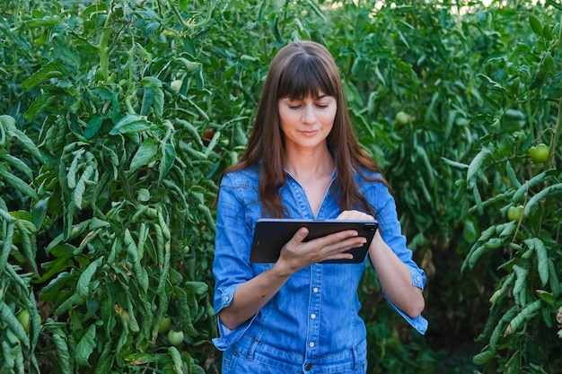 A farmer inspecting crops using IPM techniques, showcasing the adoption of eco-friendly practices in agriculture.