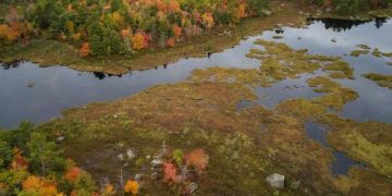 Mitigating Climate Change Effects: Key Strategies for US Wildlife - Cover Image