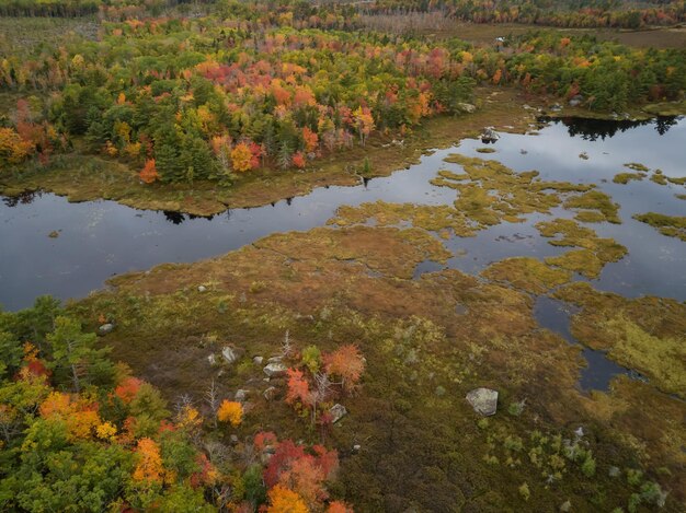 Mitigating Climate Change Effects: Key Strategies for US Wildlife