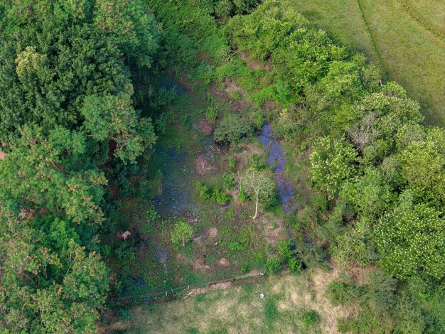 How Private Landowners Enhance Wildlife Conservation: Practical Steps