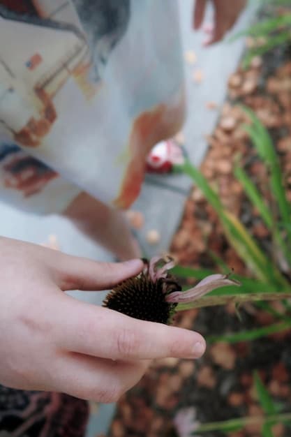 A close-up of a landowner planting native trees on their property, aimed at creating a more diverse and supportive habitat for local wildlife.