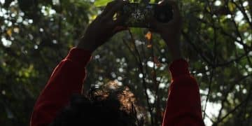 Indigenous Communities and Wildlife Management: Insider Knowledge - Cover Image