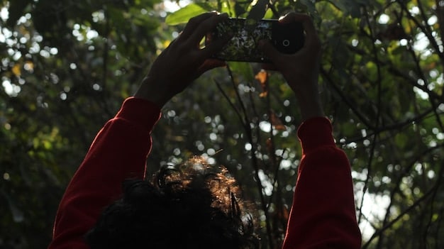 Indigenous Communities and Wildlife Management: Insider Knowledge