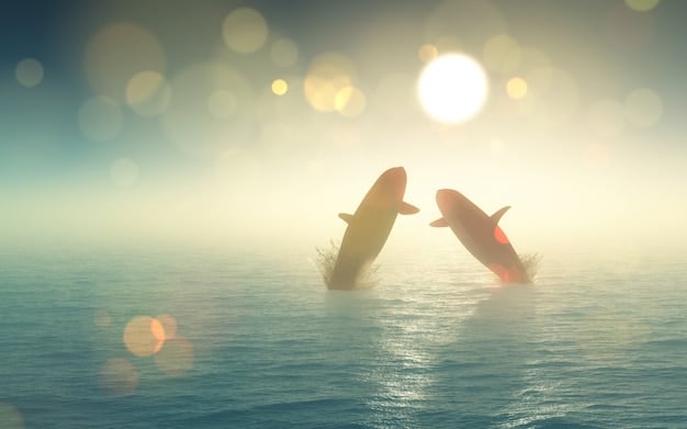 Federal Funding Boosted by 10% for Endangered Marine Mammals Protection