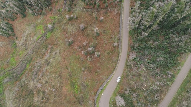 A satellite image showing a forested area bisected by a major highway. On either side of the highway, the forest appears fragmented and interspersed with residential developments. Wildlife crossing structures are visible at intervals along the highway.