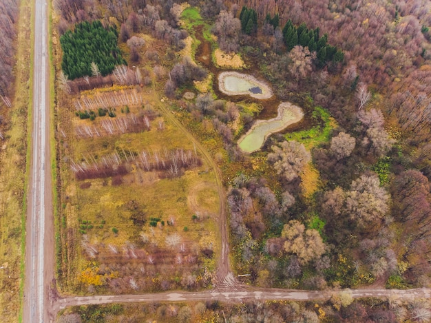 Habitat Fragmentation: Long-Term Effects on US Wildlife