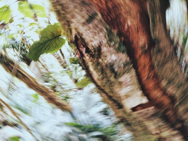 A close-up of a road cutting through a forest, showing the impact on wildlife movement. Animals are shown attempting to cross the road, highlighting the dangers and barriers created by habitat fragmentation.