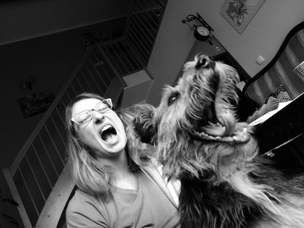 A collage showing a dog yawning in a stressful environment (vet's office) on one side and a dog licking its lips during a training session on the other.