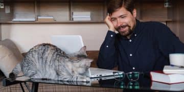 Why Is My Cat Suddenly Aggressive? Understanding Feline Aggression in 2025 - Cover Image