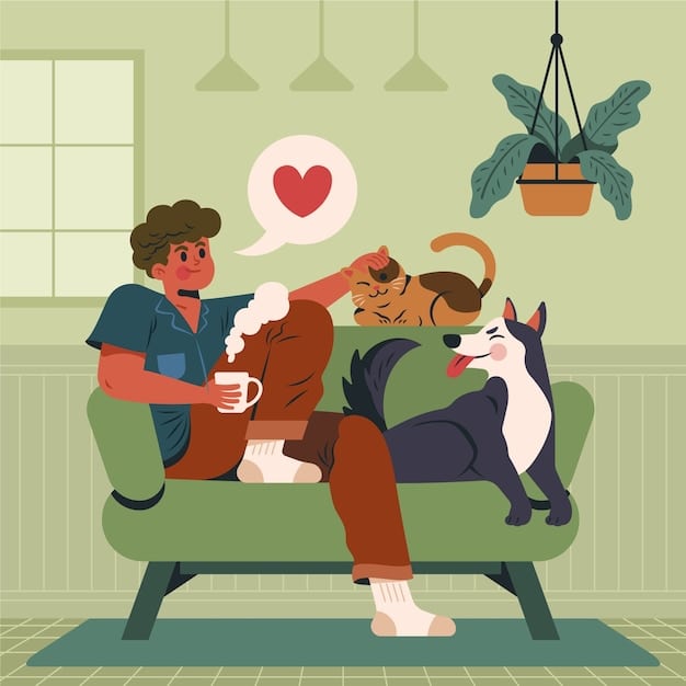 A person gently petting a calm cat on a couch, illustrating positive interaction and trust.