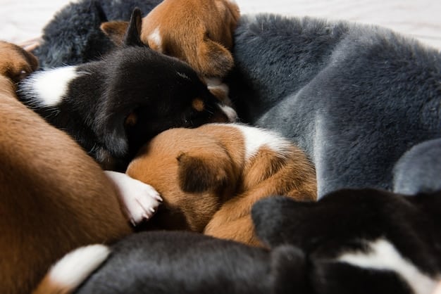 Early Socialization: Shaping Puppy Behavior During the 12-Week Critical Period