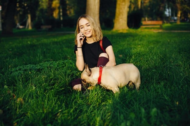 Why Do Dogs Eat Grass? Understanding Canine Grass-Eating Habits