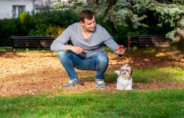 A concerned dog owner kneeling down and examining the grass in their backyard, looking for potential hazards like pesticides or toxic plants. The owner is wearing gardening gloves and has a watchful expression.