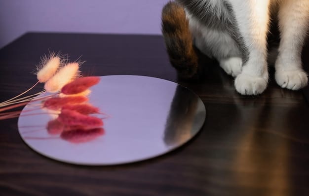 A cat rubbing its face against a table leg, close up, showcasing the deposition of facial pheromones. The scene is in a comfortable living room setting.