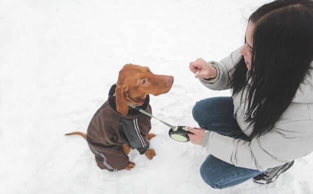 Animal Cognition in 2025: What Pet Owners Need to Know