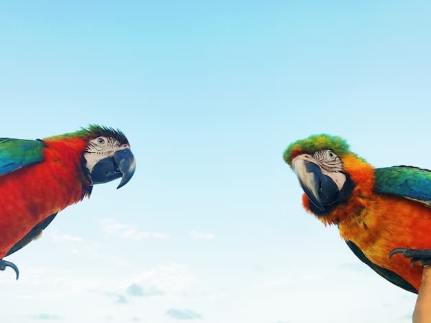 Two colorful parrots perched on a branch, interacting with each other. The image highlights their vibrant plumage and intelligent expressions.