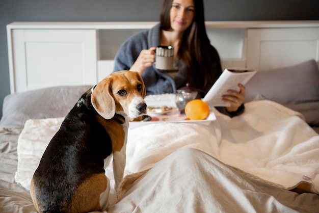 A beagle is happily engaged with a Kong toy filled with peanut butter, lying on a dog bed. The scene suggests the dog is content and distracted, a positive association with being alone.