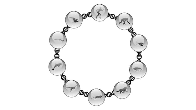 A detailed illustration of a DNA double helix, highlighting specific genes known to influence behavior in a particular animal species (e.g., the fox). The genes are annotated with the behaviors they are associated with, such as aggression, sociability, or hunting instincts.